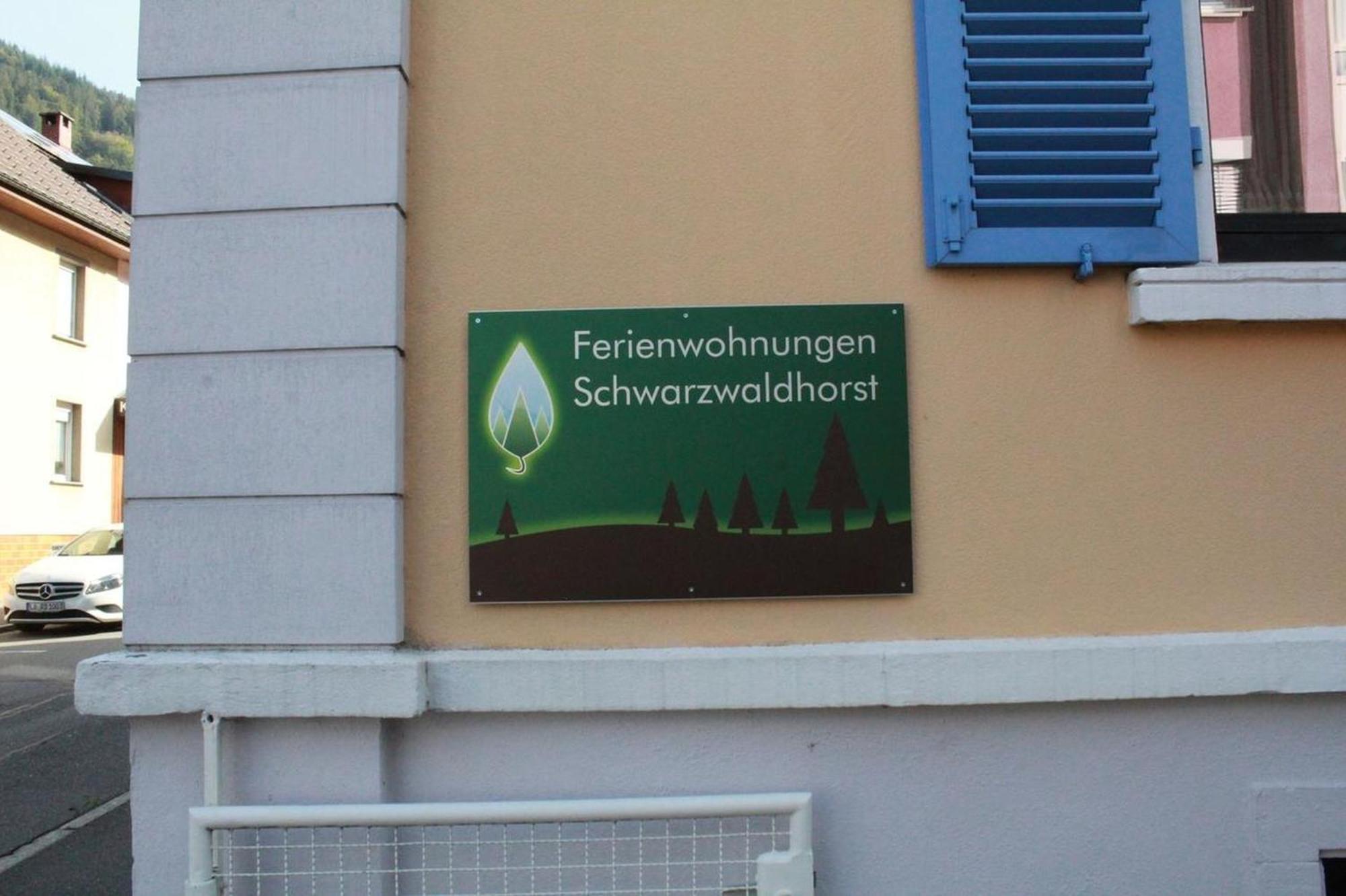 Schwarzwaldhorst Fewo 2 - Mit 4 Schlafzimmer - Todtnau, Liftverbund Feldberg Exterior photo